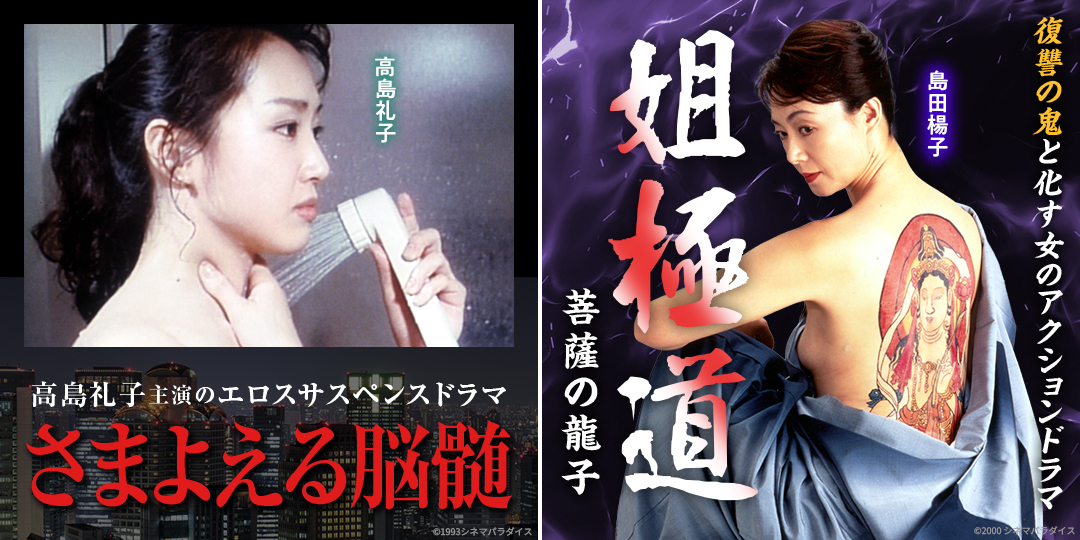 さまよえる脳髄　&　姐極道　菩薩の龍子